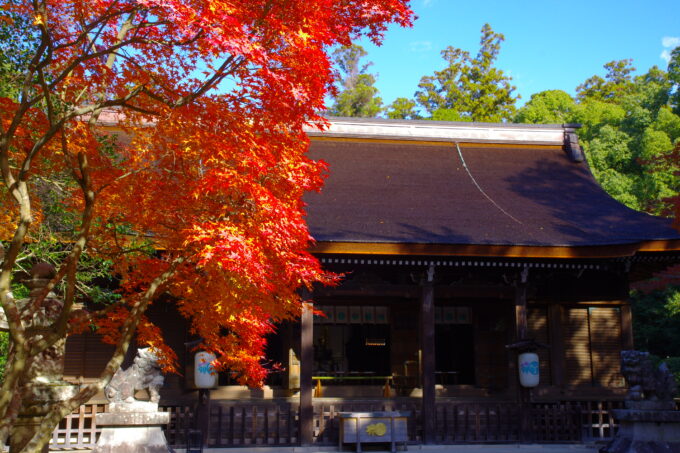 多田神社について