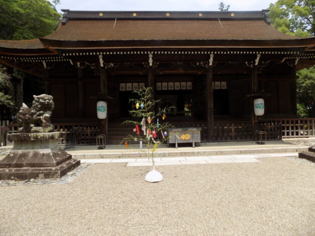 7月　多田の市